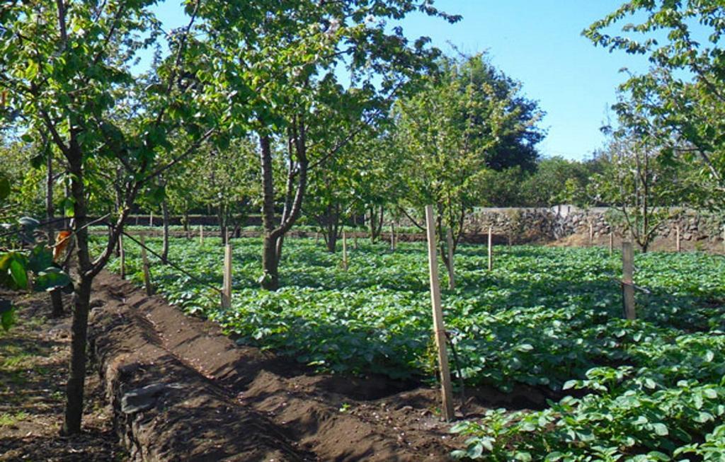 Baglio Delle Rose Bed & Breakfast Giarre Luaran gambar