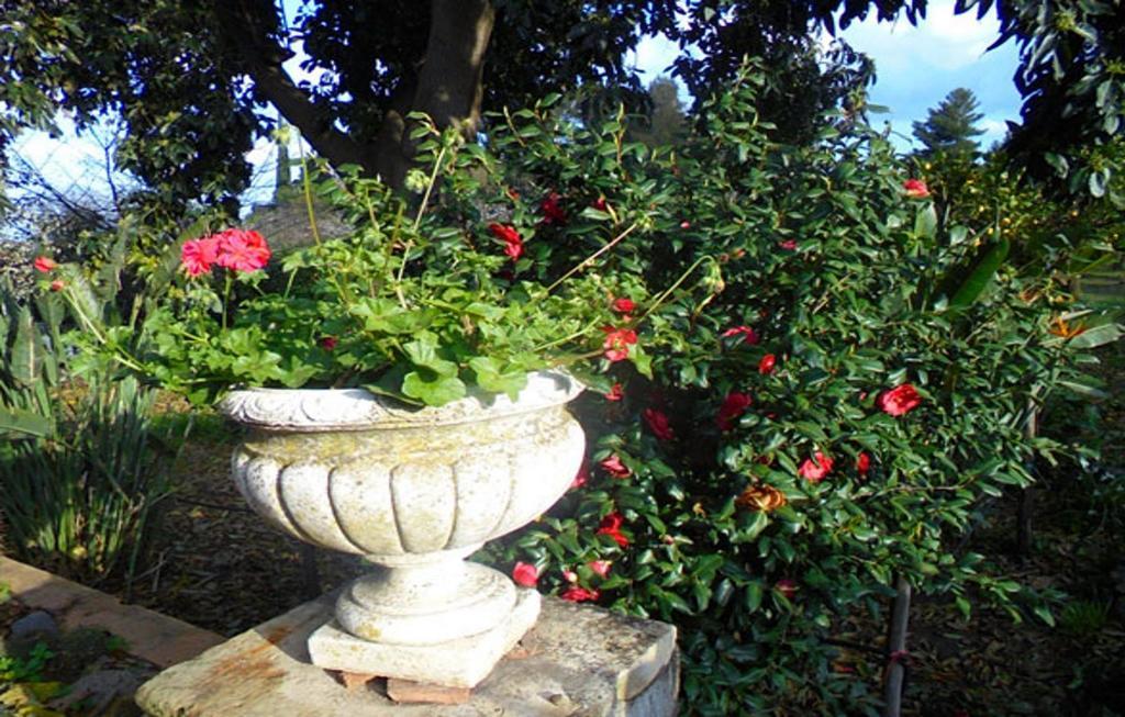 Baglio Delle Rose Bed & Breakfast Giarre Luaran gambar