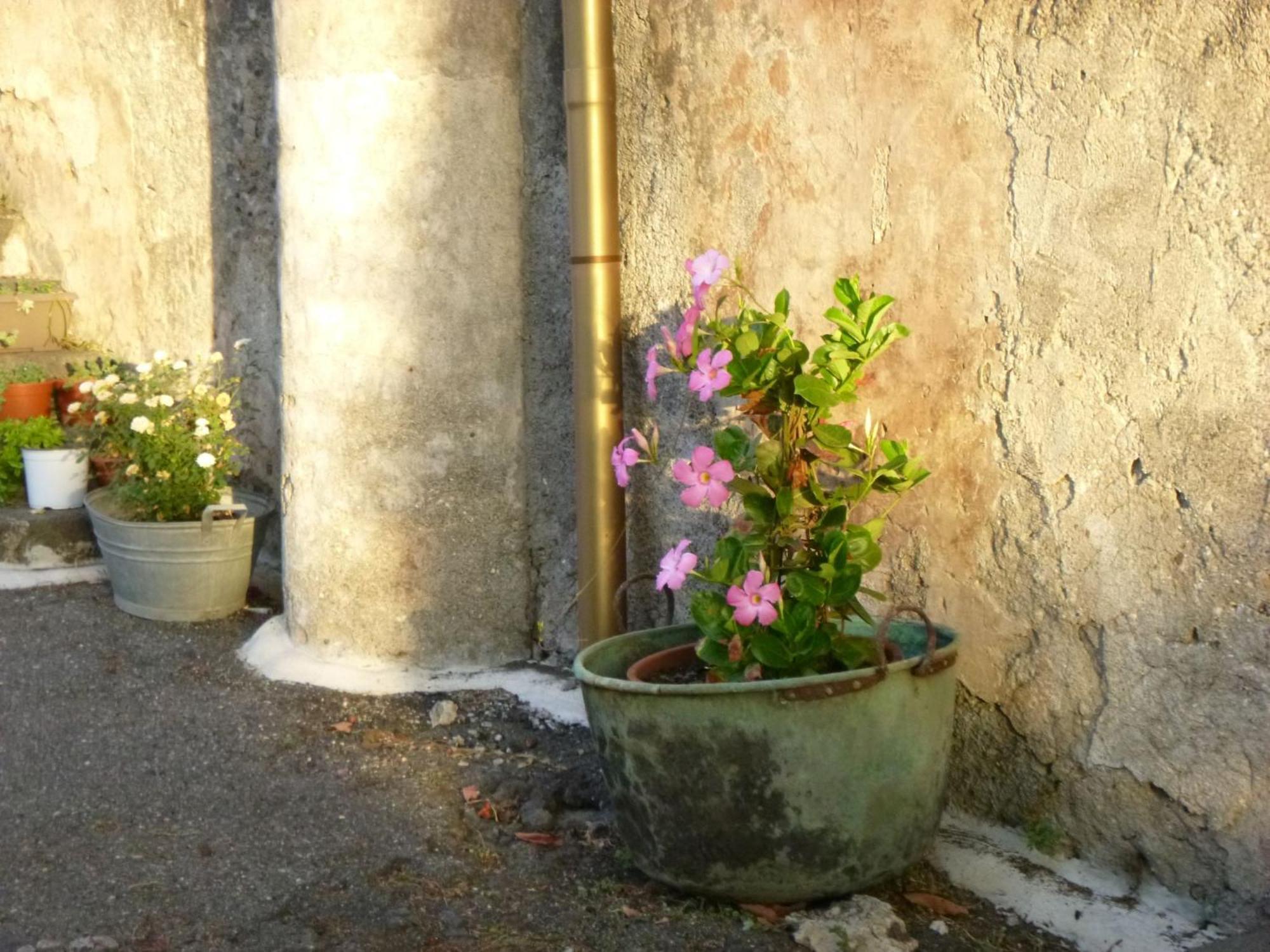 Baglio Delle Rose Bed & Breakfast Giarre Luaran gambar