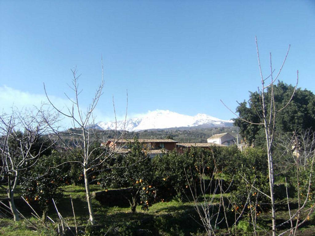 Baglio Delle Rose Bed & Breakfast Giarre Luaran gambar