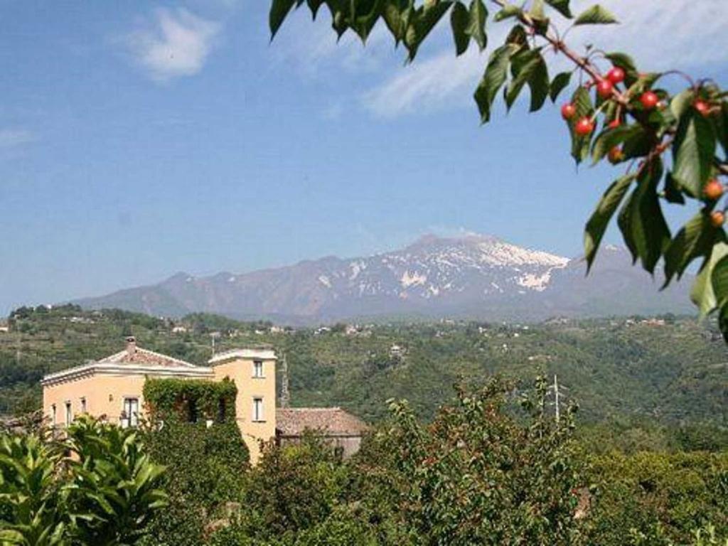 Baglio Delle Rose Bed & Breakfast Giarre Luaran gambar